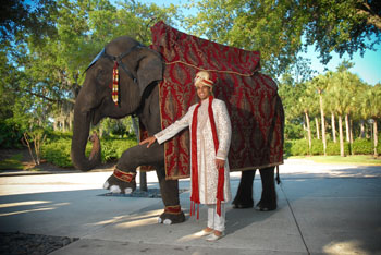 Radha Mahesh Wedding