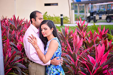 Lovely Indian Lovebirds Capture