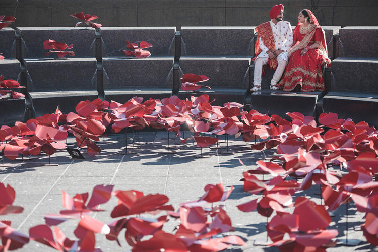 Love Bird's Outdoor Photoshoot