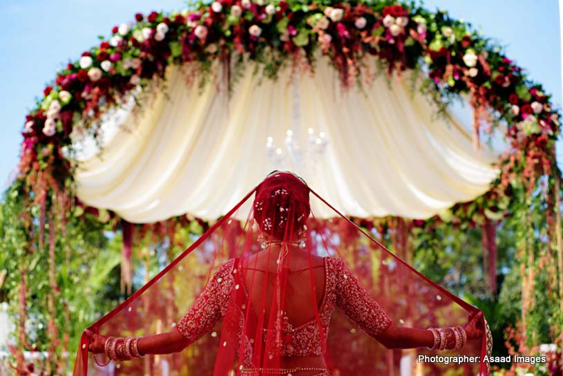 Indian Bride Chunari (Dupatta)