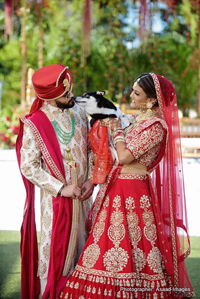 Indian Bride and Groom with Pet Dog Picture