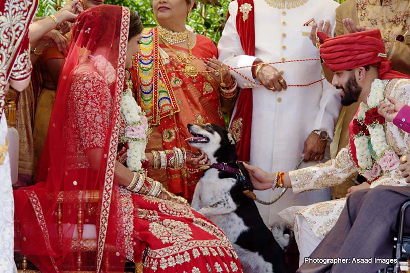 Indian Bride and Groom Enjoying Wedding Movement