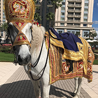 Orlando Carriage Rides Inc