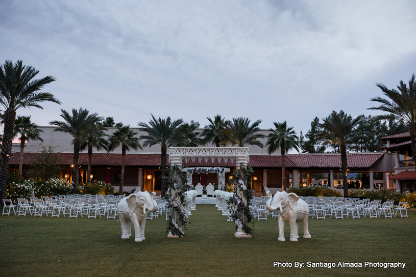 spectacular decoration for reception