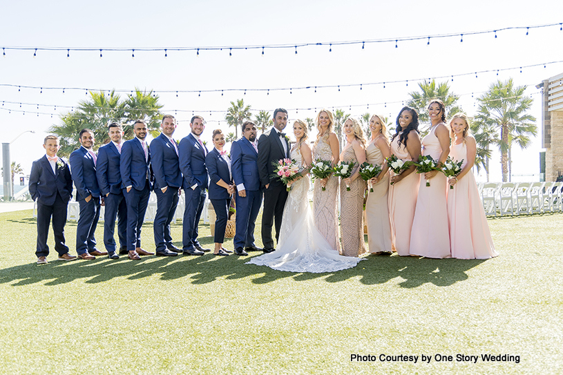 Indian wedding couple with Bridesmaids and Groomsmen